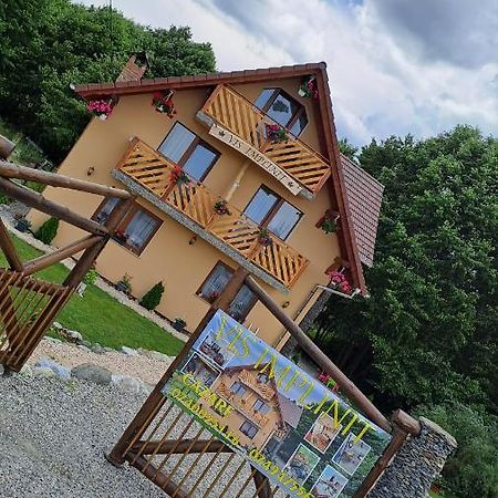Vis Implinit Hotel Cîrţişoara Eksteriør billede
