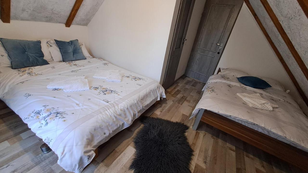 Vis Implinit Hotel Cîrţişoara Eksteriør billede