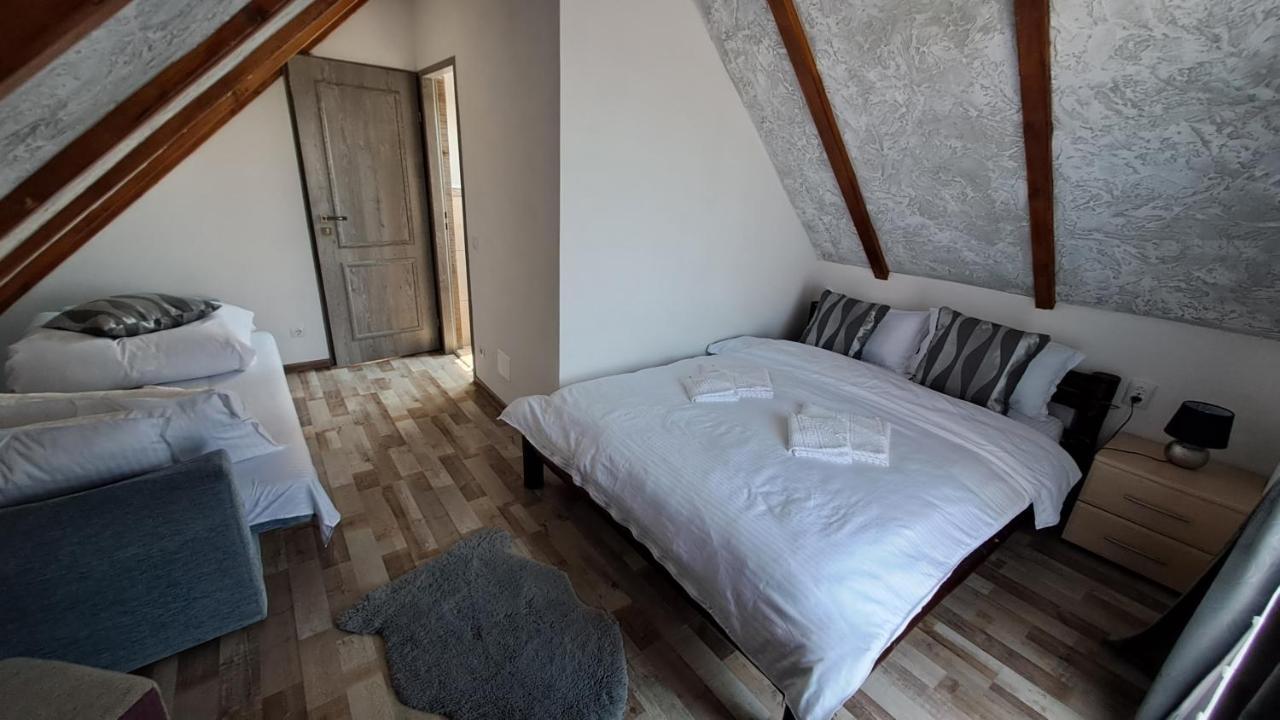 Vis Implinit Hotel Cîrţişoara Eksteriør billede