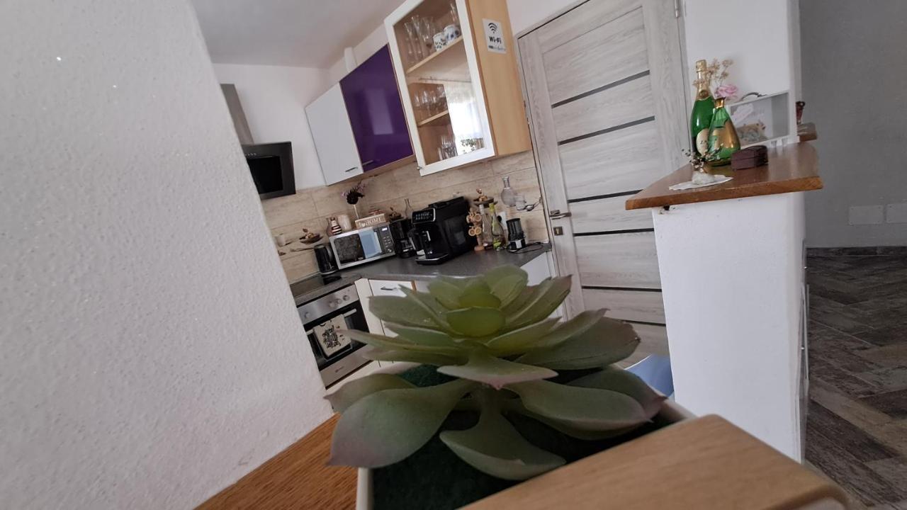 Vis Implinit Hotel Cîrţişoara Eksteriør billede