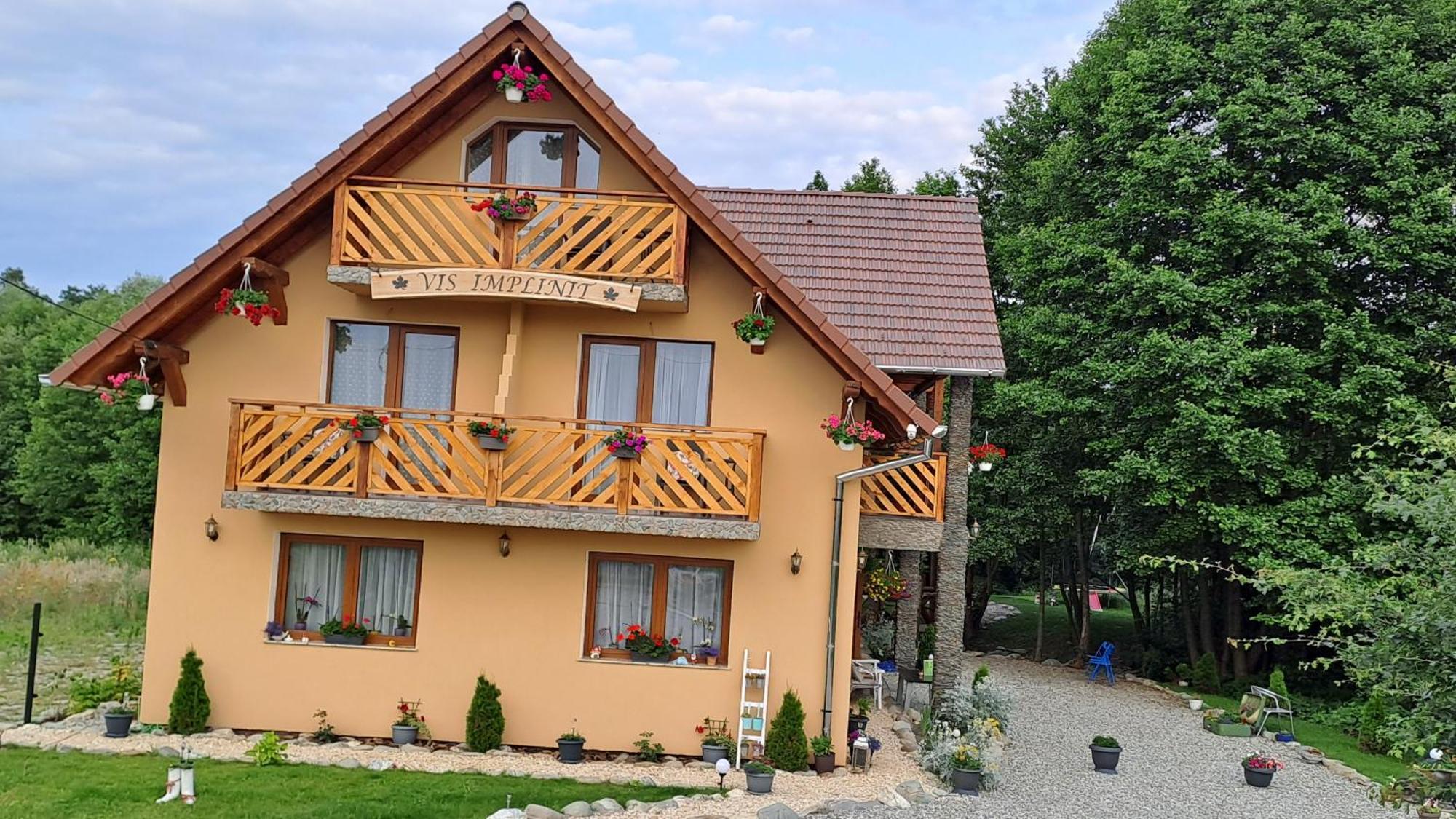 Vis Implinit Hotel Cîrţişoara Eksteriør billede